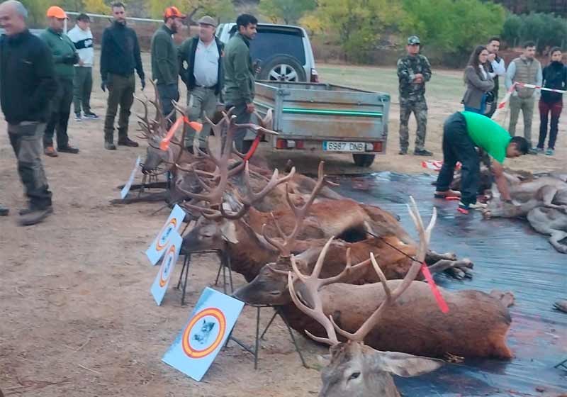 Resultado Montería Los Picarazos 2024 Lances de Siempre